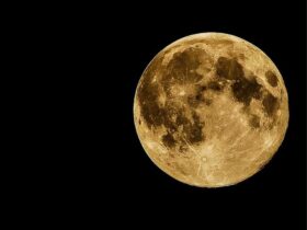 polo sur de la Luna