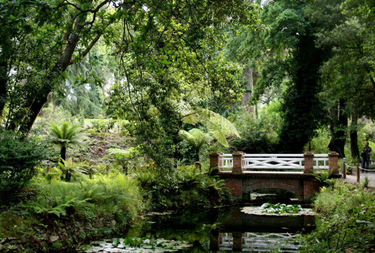Jardín Botánico Atlántico