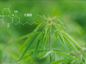 beneficios del cbd