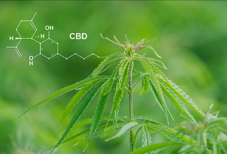 beneficios del cbd