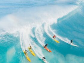 Surfistas disfrutando de las olas del mar
